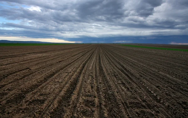 Plowed soil