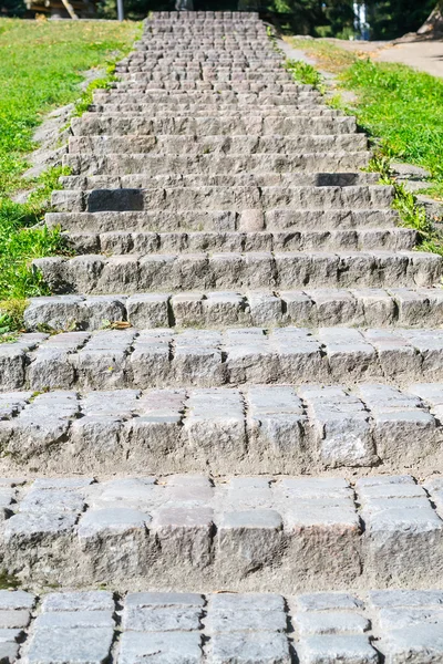 Stone steps in the Park