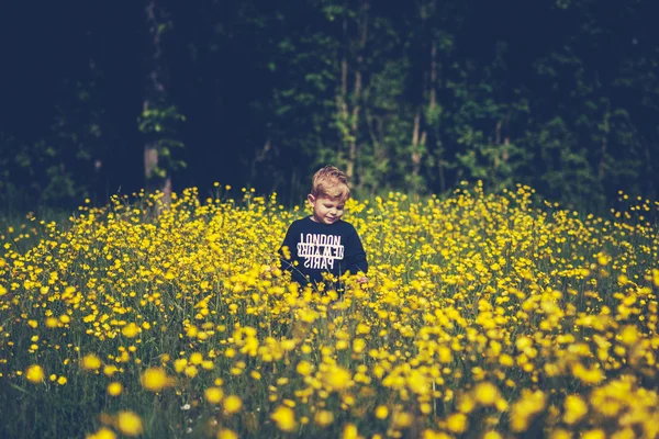 Little cute boy child in a wonderful field of yellow flowers smiling and laughing