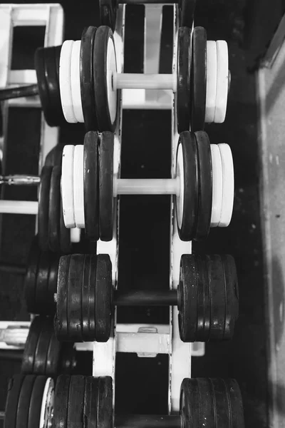 Sports dumbbells in sports club. Weight Training Equipment