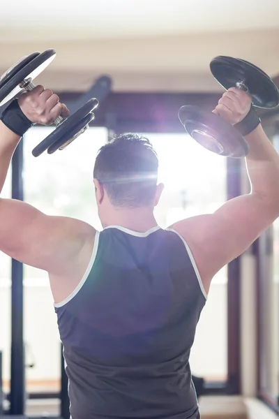 Young Man Working Out Biceps - Dumbbell Concentration Curls