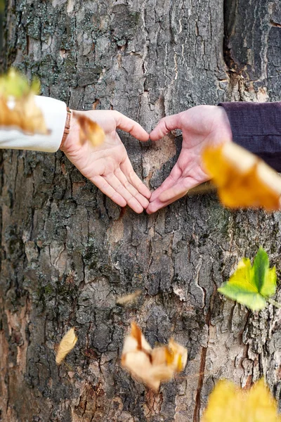 Couple is putting their hands on tree in a shape of heart.