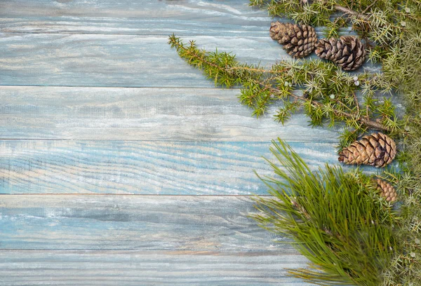 Fir branch on stained oak table from above, vintage toned