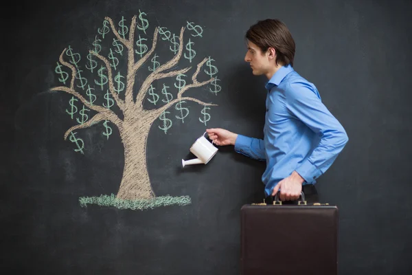 Watering can and money tree drawn on a blackboard concept for bu