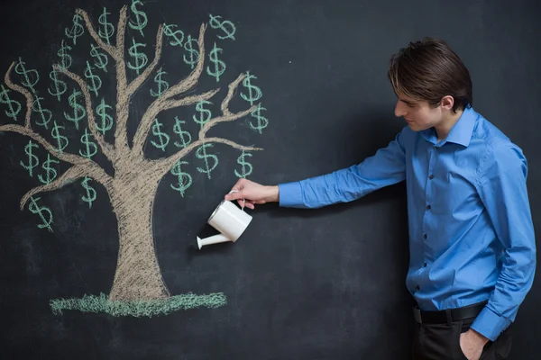 Watering can and money tree drawn on a blackboard concept for bu