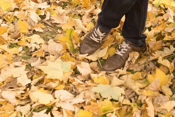 Fall, autumn, leaves, legs and shoes. Conceptual image of legs i
