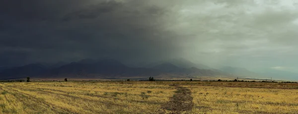 Yellow field and mountain