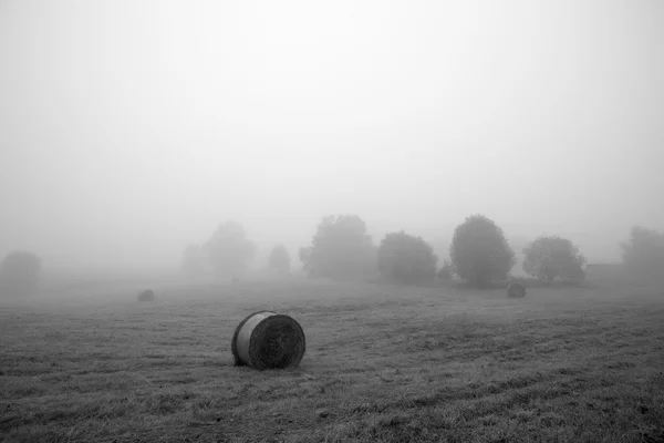 Field in the fog, haystack, black and white, mown hay in the fog