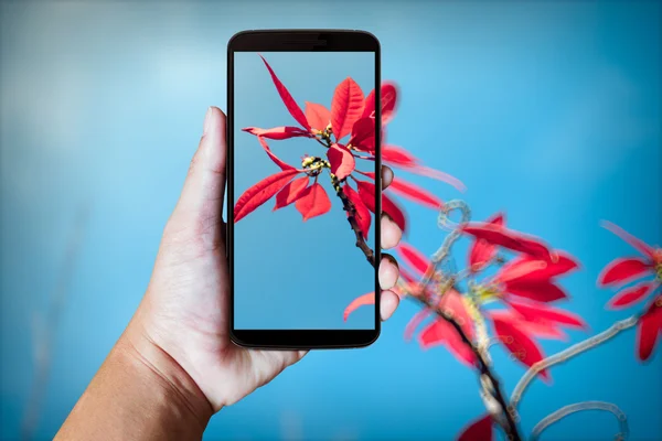 Modern mobile phone in the hand.