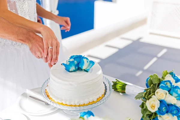 Couple cut  the wedding cake