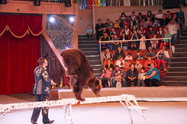 LUGANSK ,UKRAINE - APRIL 9, 2016: a trained bear in the circus acts