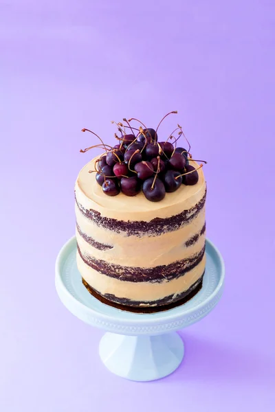 Chocolate caramel cake with sour cherries on a cake stand. Violet background