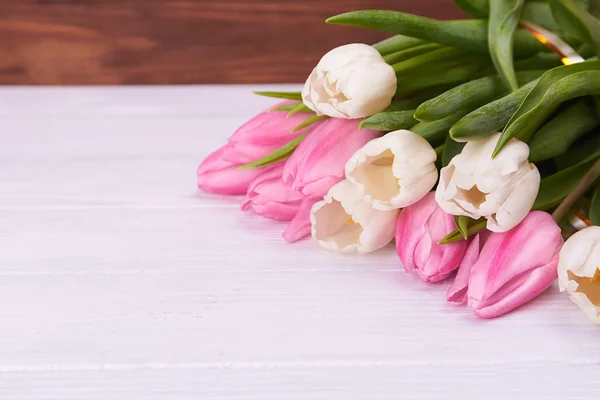 White tulips on white wooden background