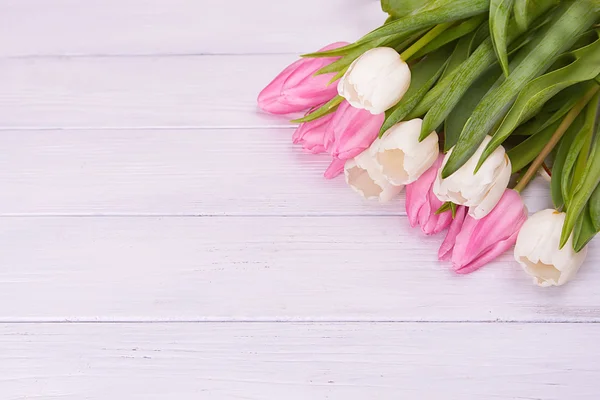 White tulips on white wooden background