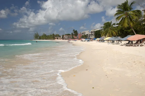 Barbados Island, Caribbean sea