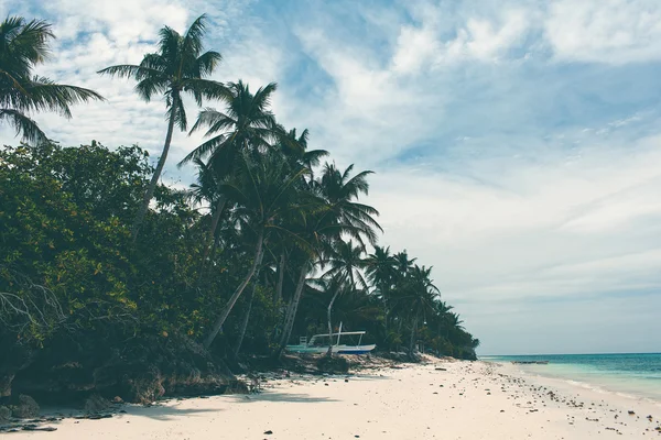 Beautiful coastline, turquoise view of the sea with palm trees,