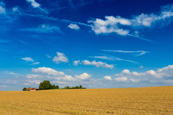 Harvested wheat fields and dramatic blue sky in July, Belgium