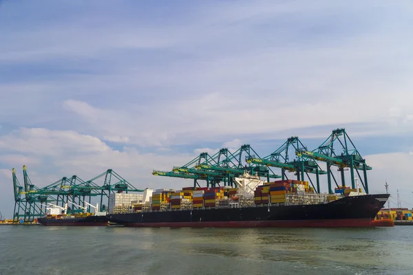 Huge container ship loaded with cranes in Antwerp container term