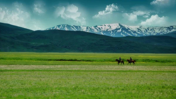 Men riding horses in field