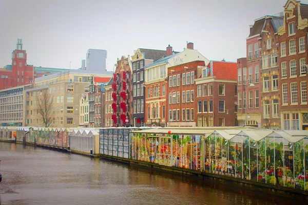 Flower market in Amsterdam