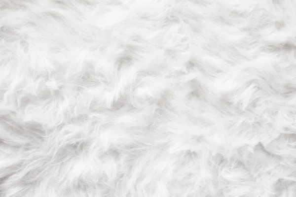 Sheep wool fur background texture wallpaper.