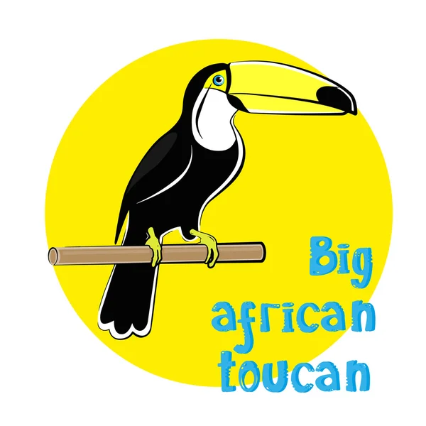 Exotic tropical bird - african toucan drawing in flat style on background yellow sun. Vector illustration
