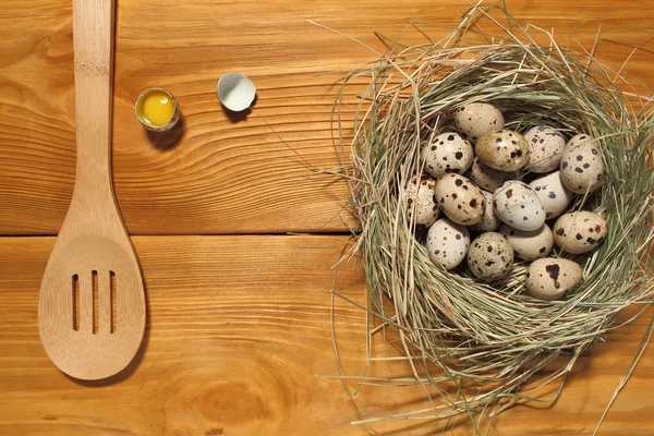 The composition of quail eggs in a nest from grass and wooden spoon lying on a panel of vintage brown boards with free space for text advertising of food or restaurant menu design.