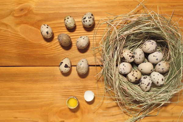 The composition of quail eggs lying in a nest of grass on a panel of vintage brown boards with free space for text advertising of food or restaurant menu design.