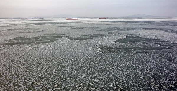 Frozen sea ice pattern