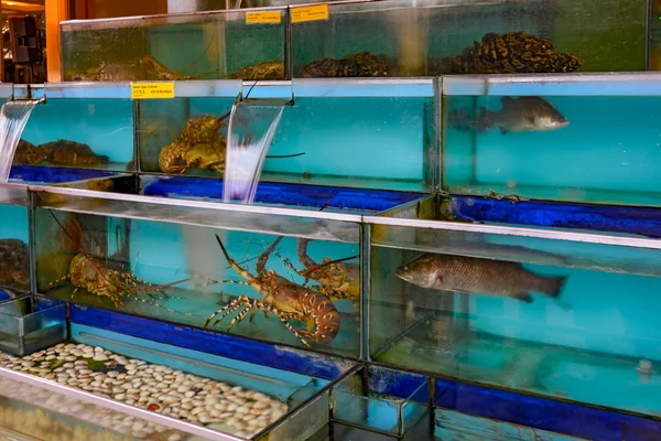 Seafood restaurant fish tank