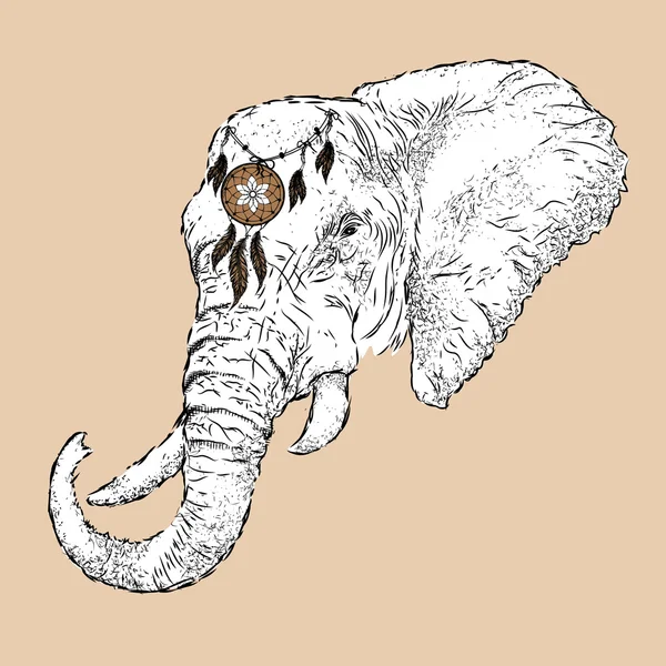 Hand draw elephant portrait. Hand draw vector illustration