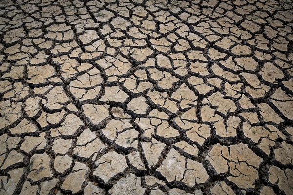 Drought, cracked dry ground during summer in Thailand