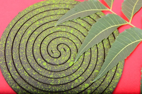 Burning mosquito coil, Mosquito coil is mosquito-repelling incense, usually shaped into a spiral, Anti mosquito made by neem leaves green color - insecticides