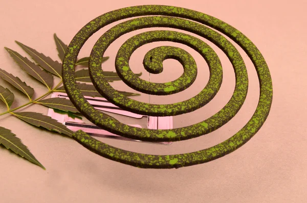 Burning mosquito coil, Mosquito coil is mosquito-repelling incense, usually shaped into a spiral, Anti mosquito made by neem leaves green color - insecticides