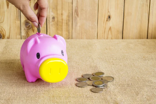 Savings money with hand putting coin into piggy bank