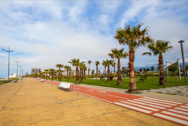 Empty embankment in Batumi, a jogging track, bicycle track. along the track grows palm trees