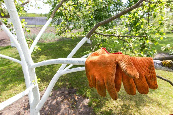 Work gloves orange color