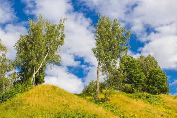 The nature of  Plyos: the trees stand on the hill and blue sky with clouds