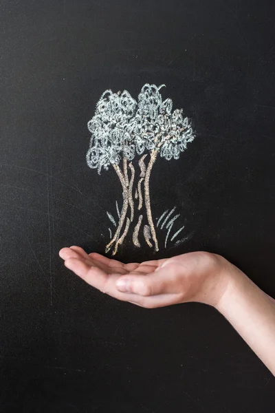 Tree drawn on the blackboard with chalk and hand of a young girl.