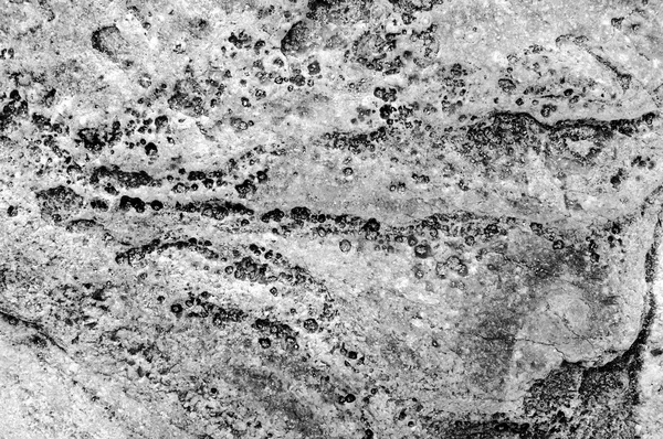 Black and White Close colorful texture of sea stone texture