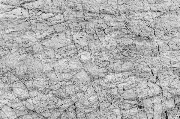 Black and white texture of sea stone texture