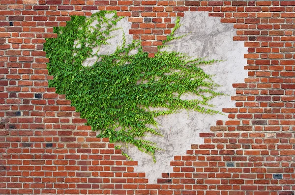 Hole shape heart inside brick wall, Symbol of love, brick wall h