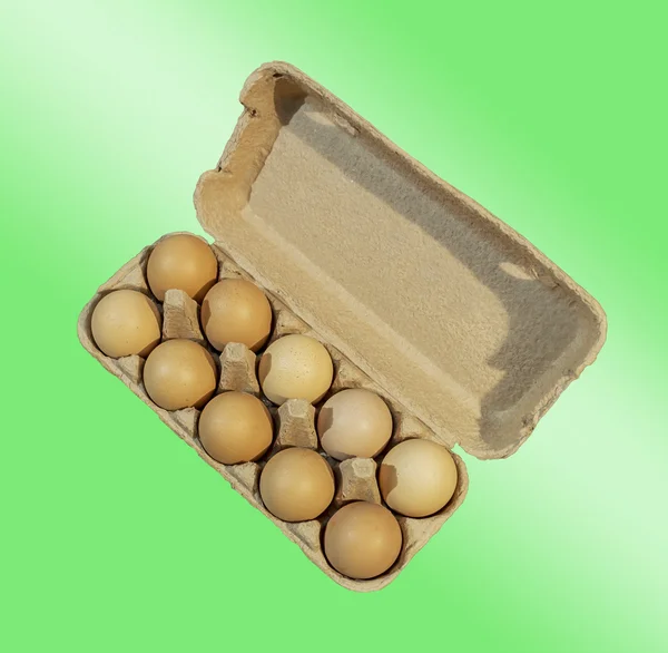 Carton package, Ten brown eggs in a carton package isolated on  green and white background