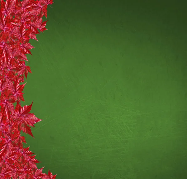 Autumn background with green school board and red leaves