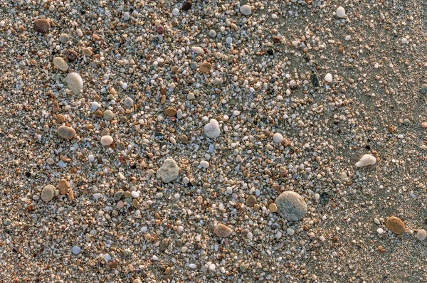 Naturally rounded gravel at sea shore, nature sea background texture