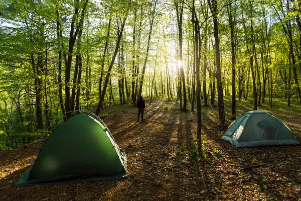 Tents in a beautifull forest with man on background