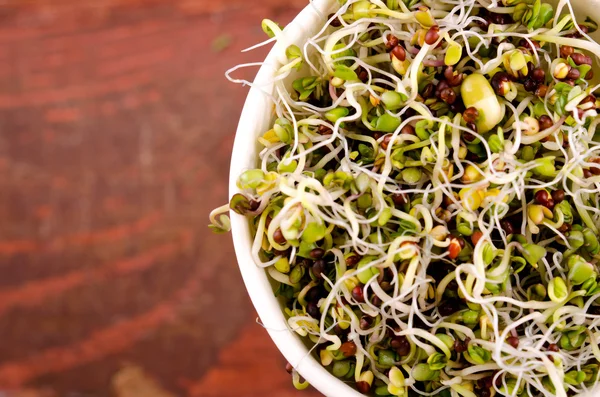 Microgreens assortment in paper cup. Healthy Green Salad with fresh raw sprouts