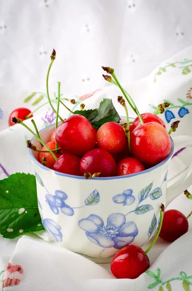 Sweet ripe fresh cherry berries with green leaves in cup