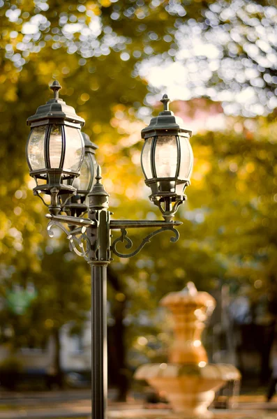 Vintage style picture with old street lamp in the park