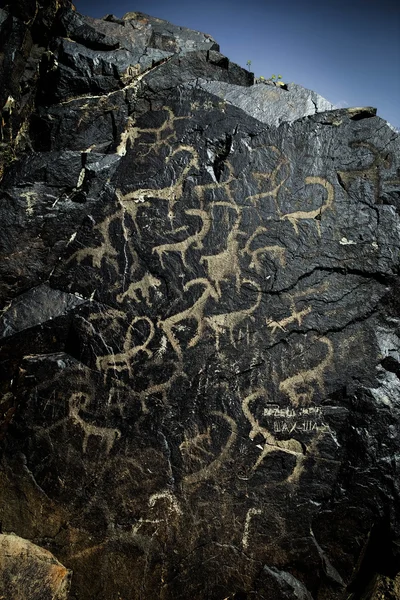 Rock paintings in Uzbekistan